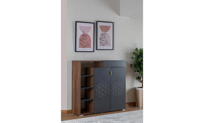 Shoe rack with a curtain