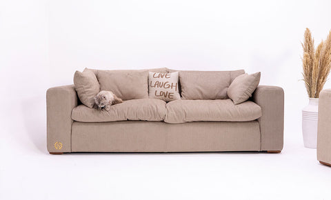 أنتريه بيتبل - kabbanifurniture