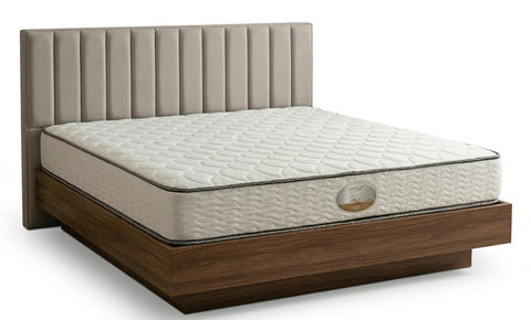 مرتبة نورمال 22 سم - kabbanifurniture