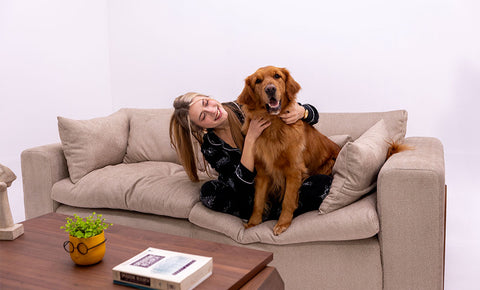 أنتريه بيتبل - kabbanifurniture
