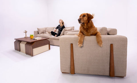 أنتريه بيتبل - kabbanifurniture