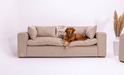 أنتريه بيتبل - kabbanifurniture