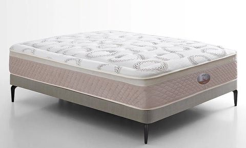 مرتبة كاميليا 31 سم - kabbanifurniture