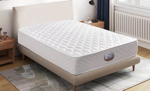 مرتبة روز 22 سم (سوست منفصلة) - kabbanifurniture